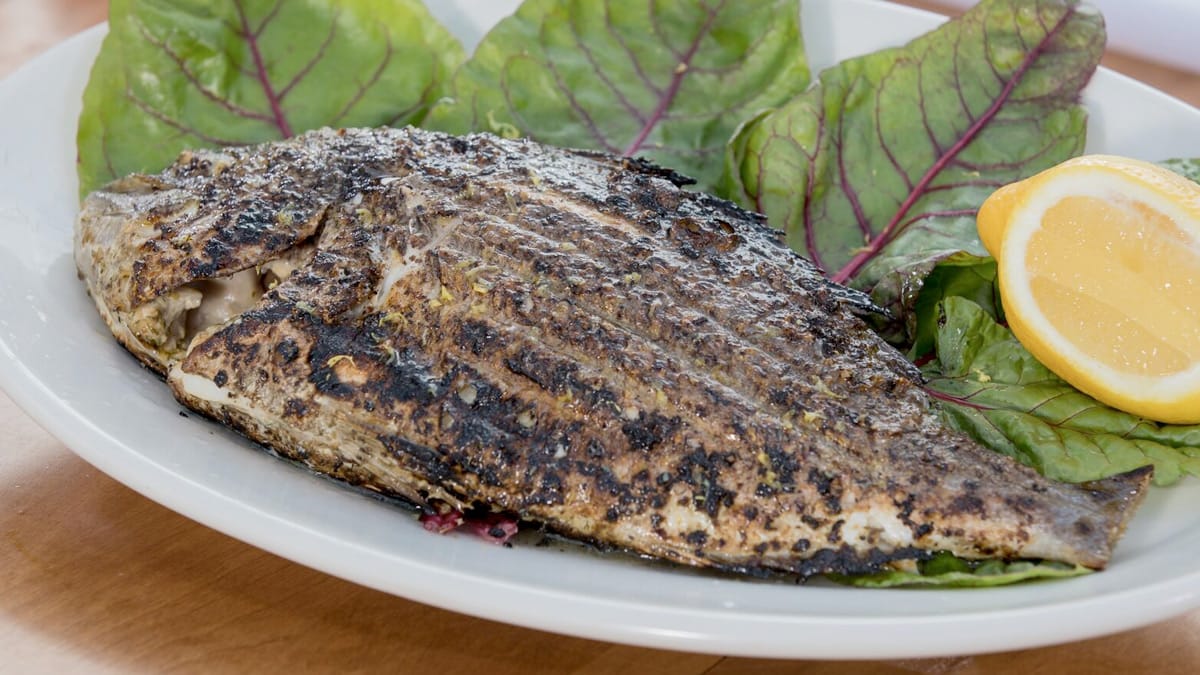 Grilled Whole Bandera Dorade - Bandera Seafood